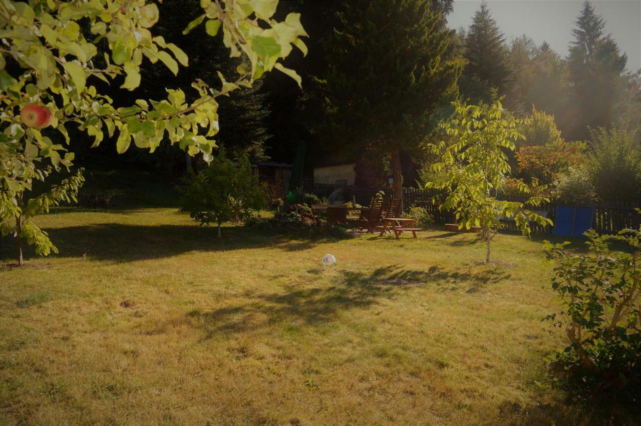 Deine Ferienwohnung Falkenstein  Exteriör bild
